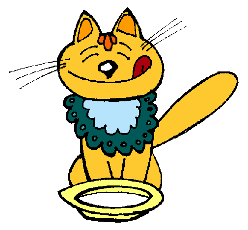 gato comiendo
