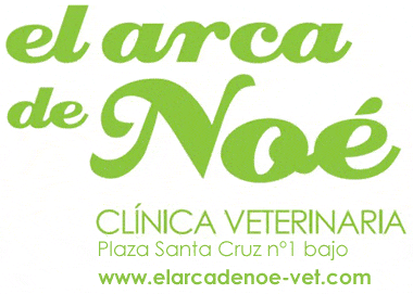 Fotos de la nueva clínica 5 arca-logo2