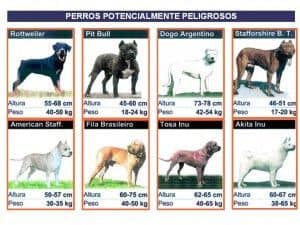 perros_peligrosos
