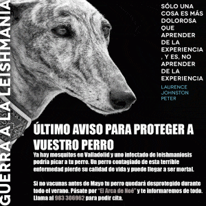 Guerra_a_la_leishmania12