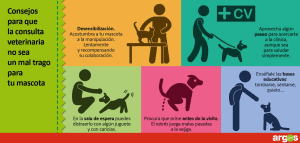 Consejos para que la visita al veterinario no sea un mal trago para tu mascota 1 1617307_631670913564467_768556496_o