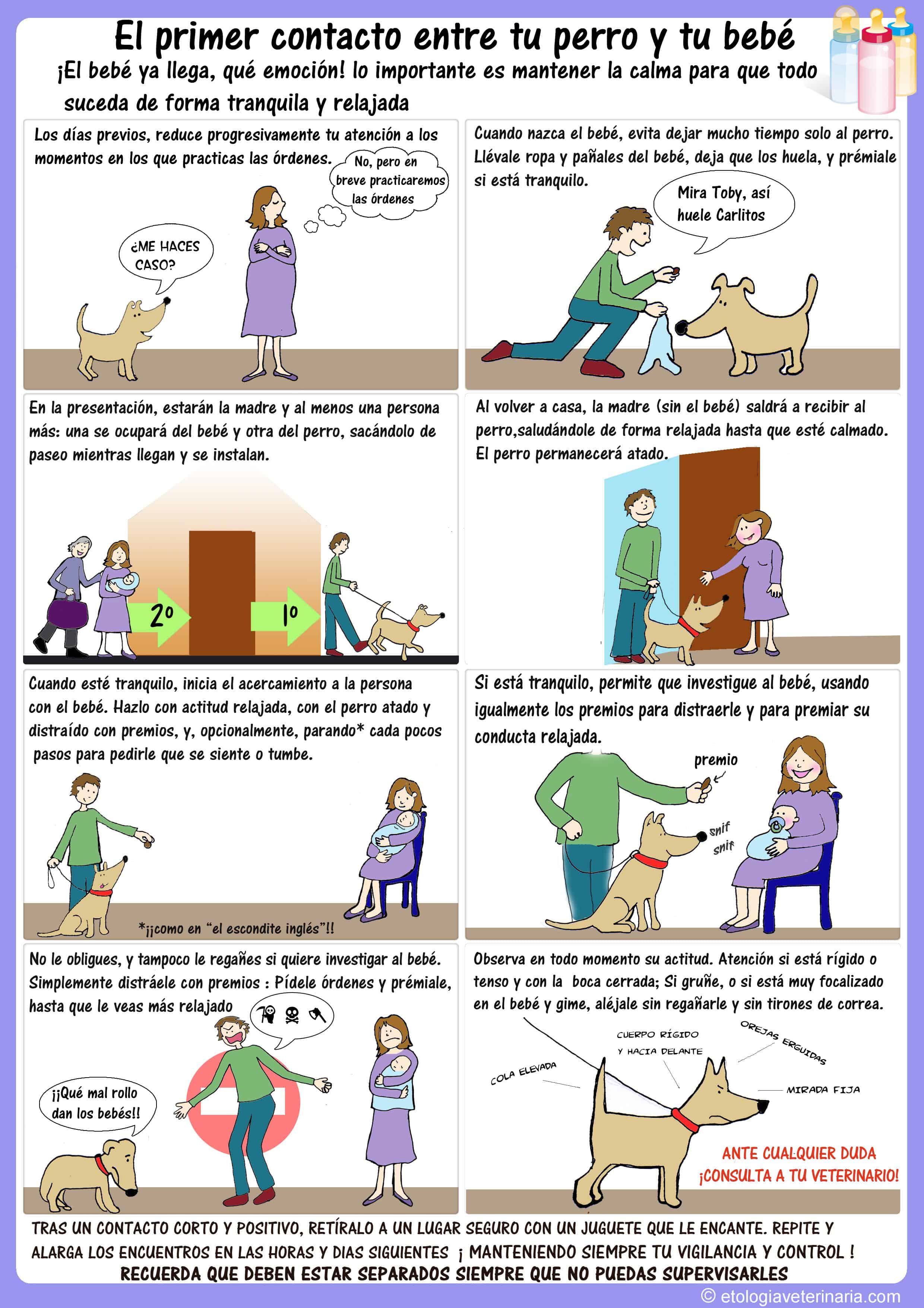 perro bebe