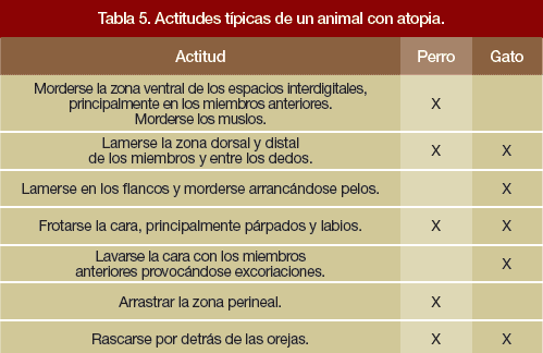dermatitis atopia