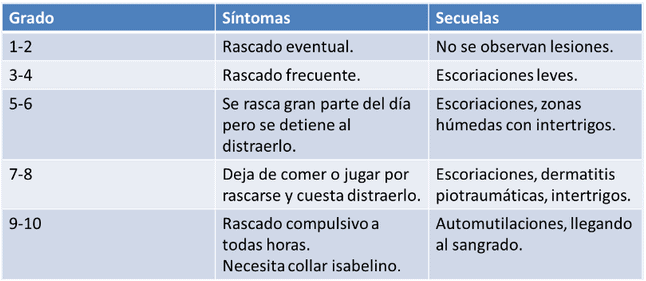 dermatitis