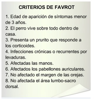 atopia canina