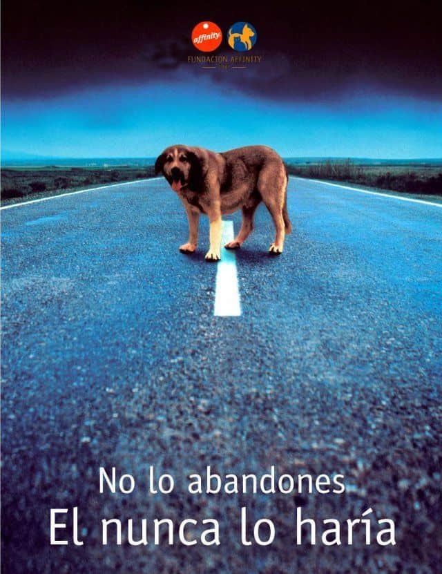 La responsabilidad de ser un cuidador 2 contra el abandono animal