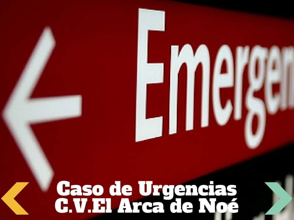 Un caso de urgencias veterinarias 2 urgencias valladolid