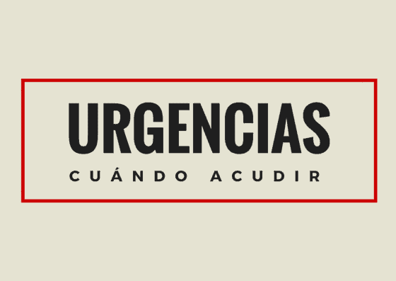 Cuándo acudir al servicio de urgencias veterinarias 2 urgencias veterinarias