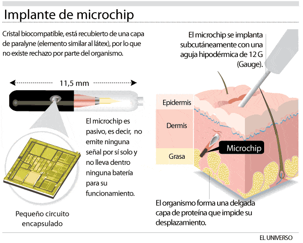 LOS CUIDADORES RESPONSABLES IDENTIFICAN A SU GATO 4 microchip gatos valladolid