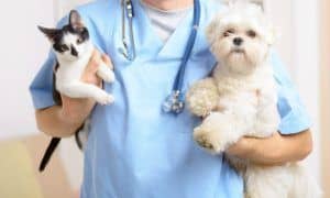 vacuna-veterinaria