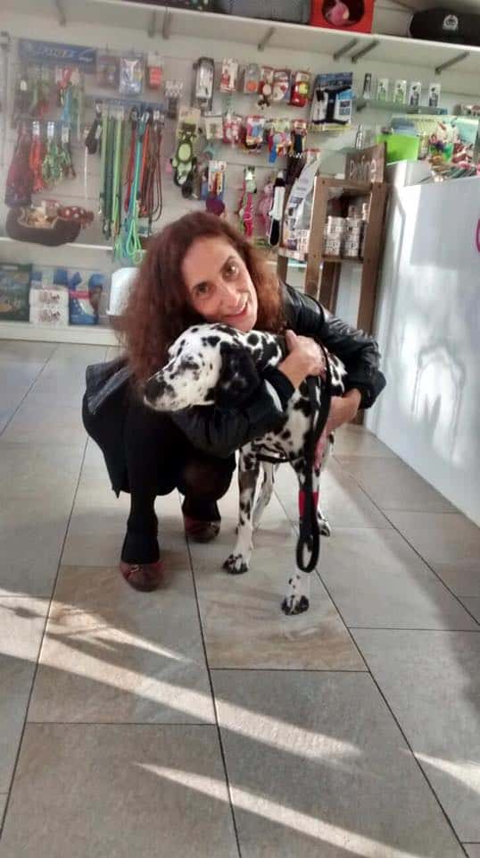 piometra canina