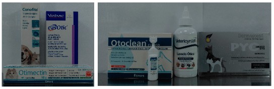 Otitis e higiene de los oídos en perros y gatos 5 veterinaria blog 3