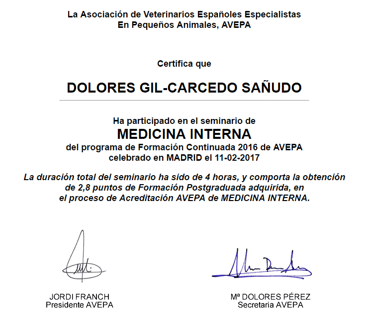 La importancia de la formación continuada 2 avepa