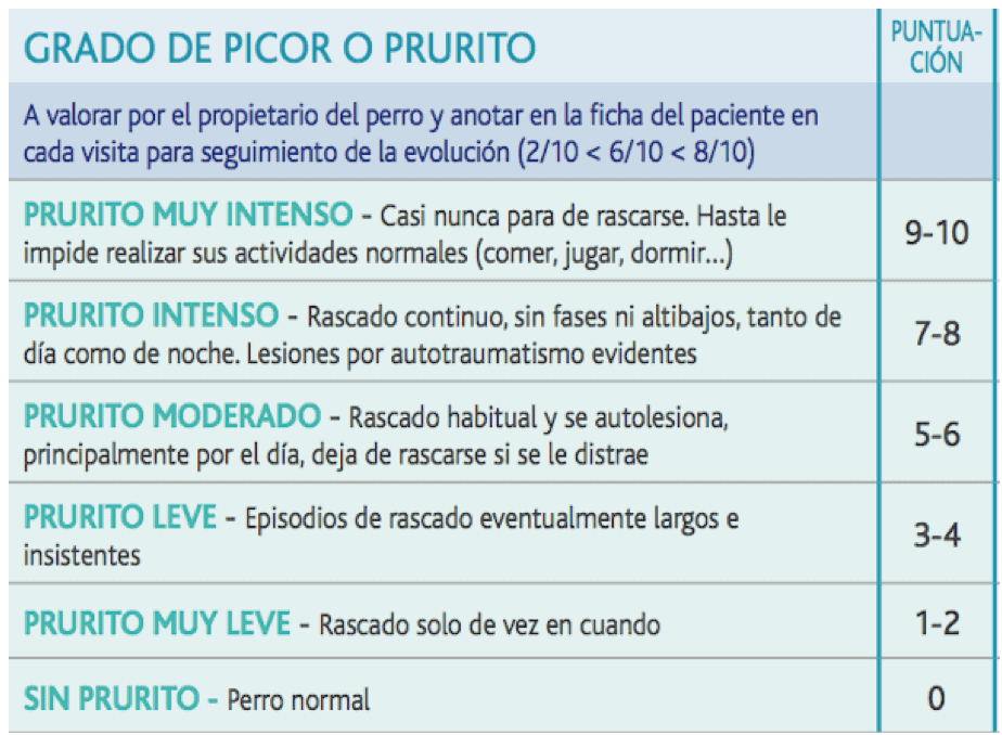 perro rascandose