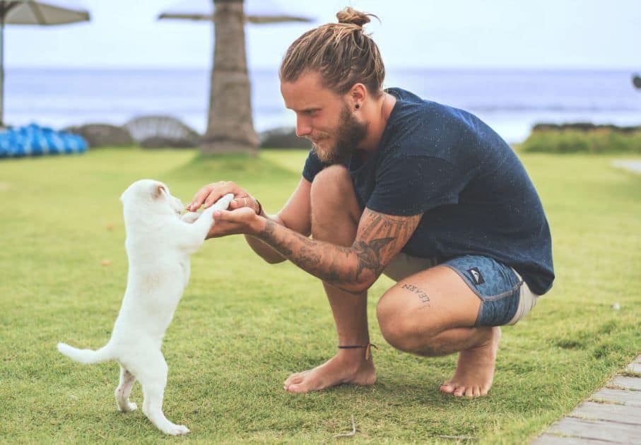 Contra el abandono de perros 3 perro