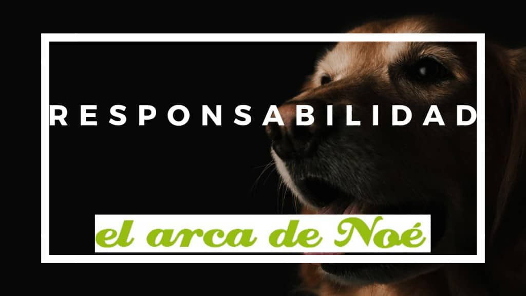 responsabilidad