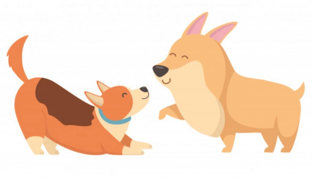 La desparasitacion en los perros 1 perros dibujos