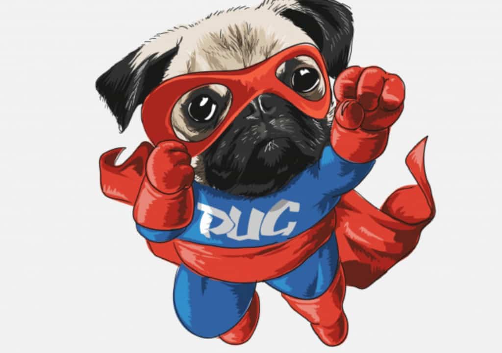 cachorros