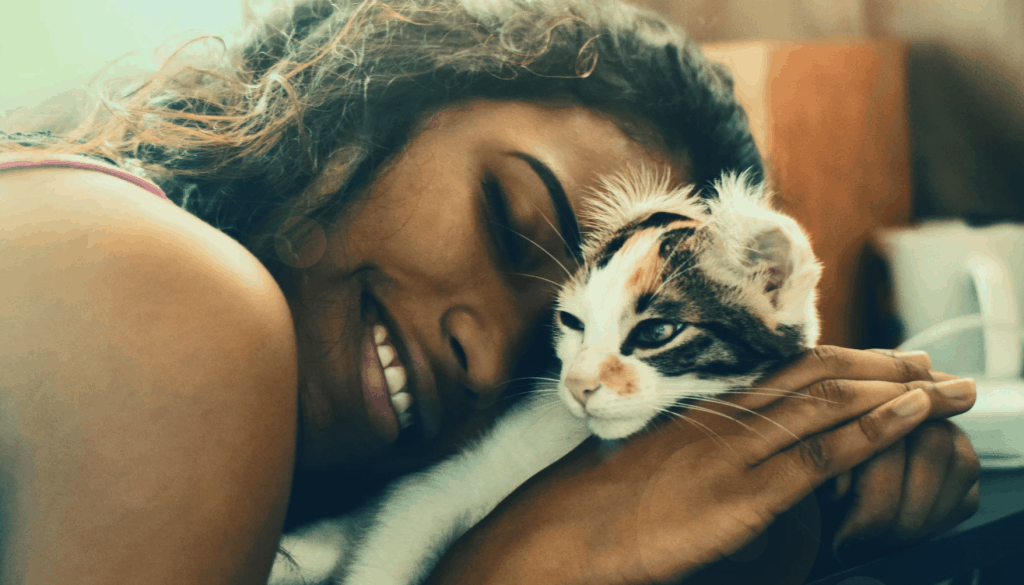 ¿Quieres meter otro gato en casa? 1 Otro gato en casa