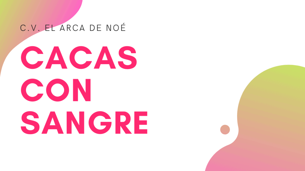 Sangrado en heces de perros