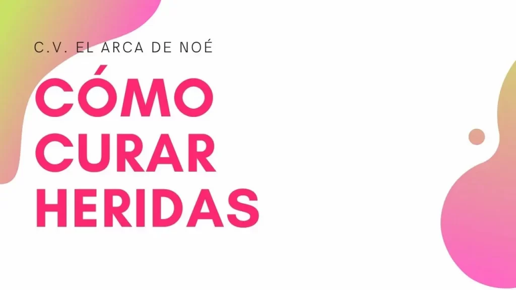 Curar heridas a nuestros perros 1 Cómo curar heridas a perros