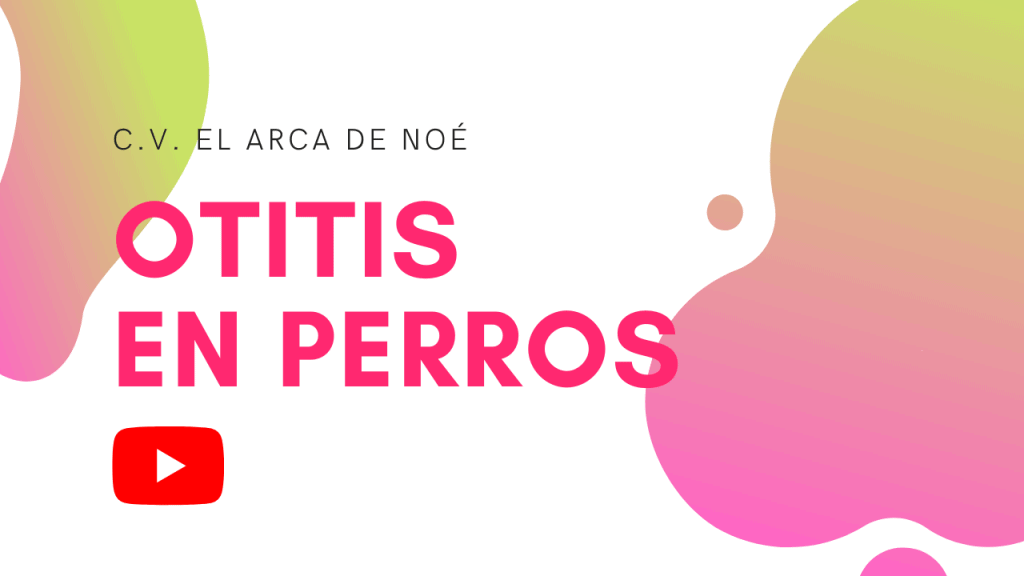Otitis