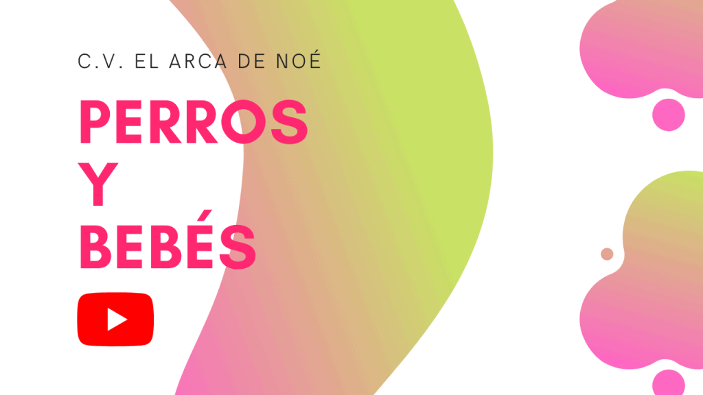 Perros y bebés