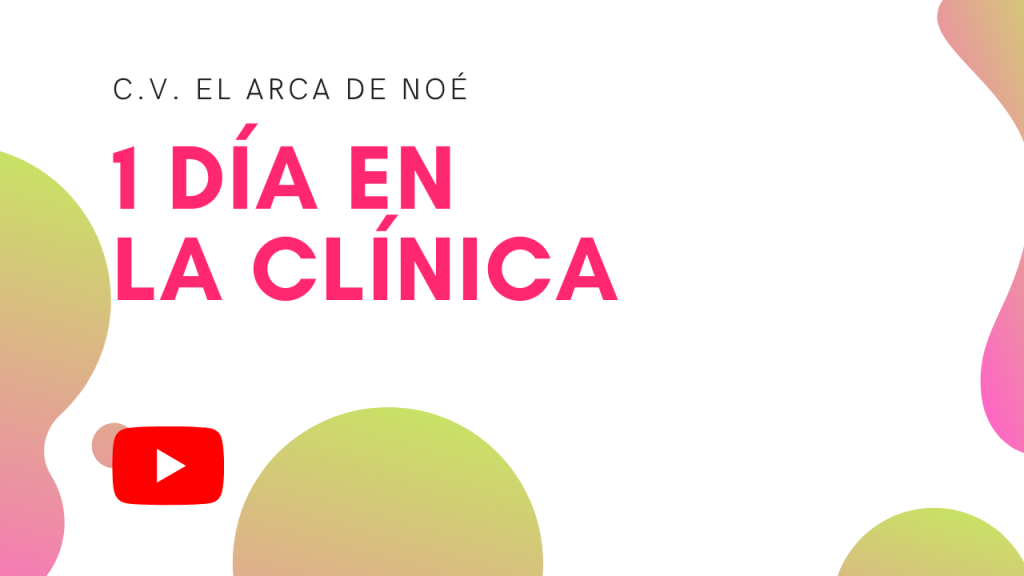 1DIA