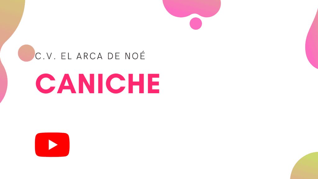 caniche