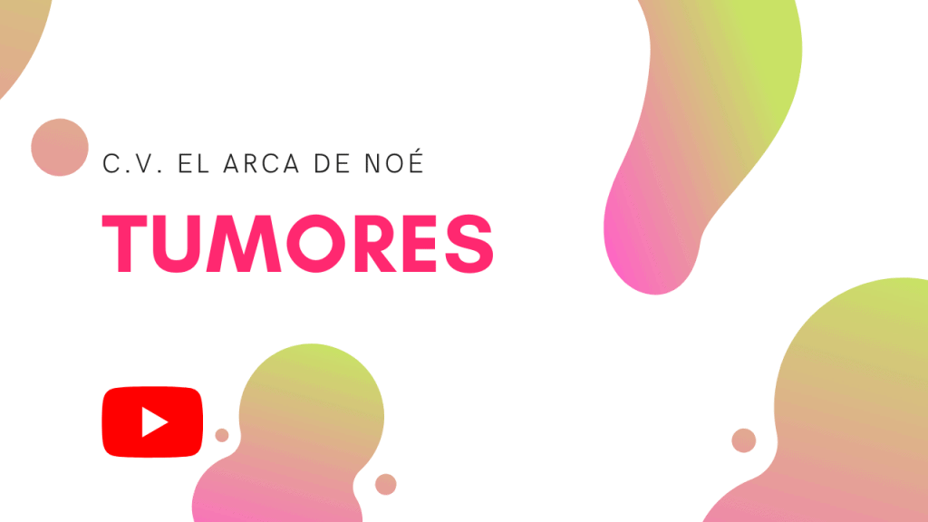 tumores perras