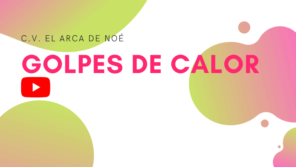 golpes calor perros