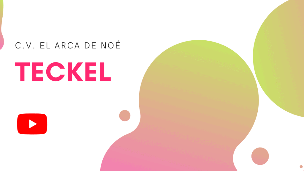 Perros Teckel