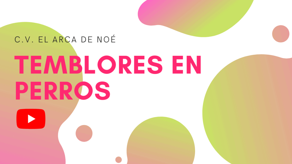 Temblores en perros