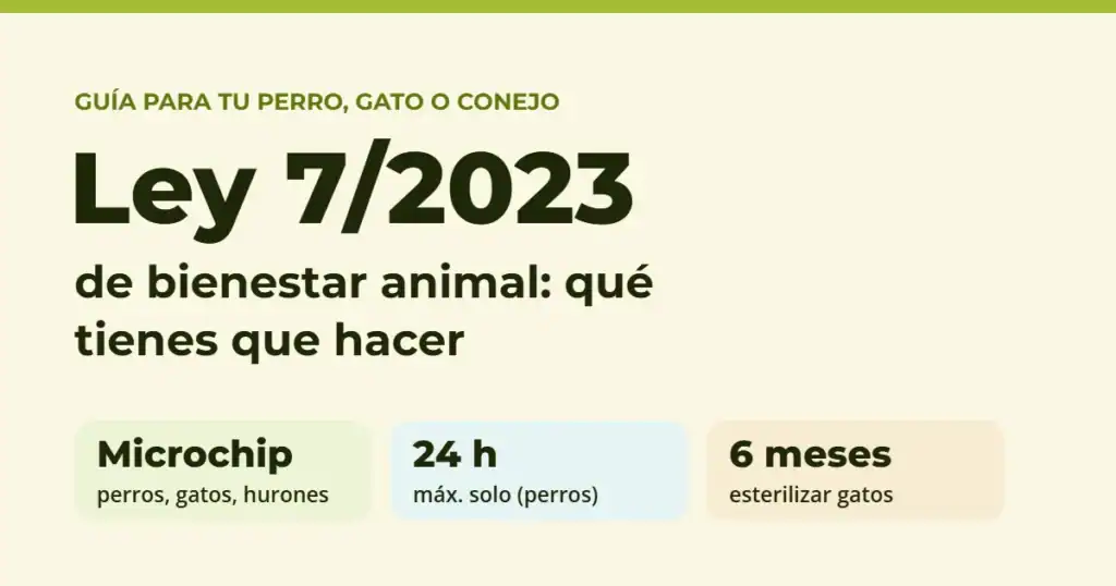 Ley 7/2023 de bienestar animal: microchip, máximo 24 horas solo para perros y esterilización de gatos antes de los 6 meses